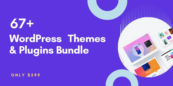 WordPress themes plugins bundle