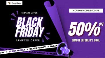 Cyberchimp : Deal Submission: Cyberchimps Responsive Theme