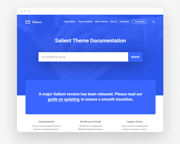 Salient Theme Support and Documentation  