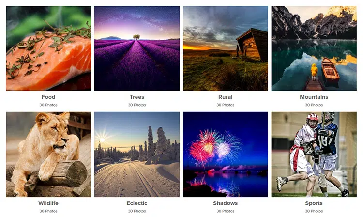Envira Gallery Plugin