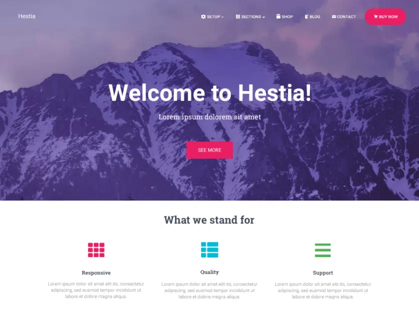 Hestia - Best WooCommerce Theme