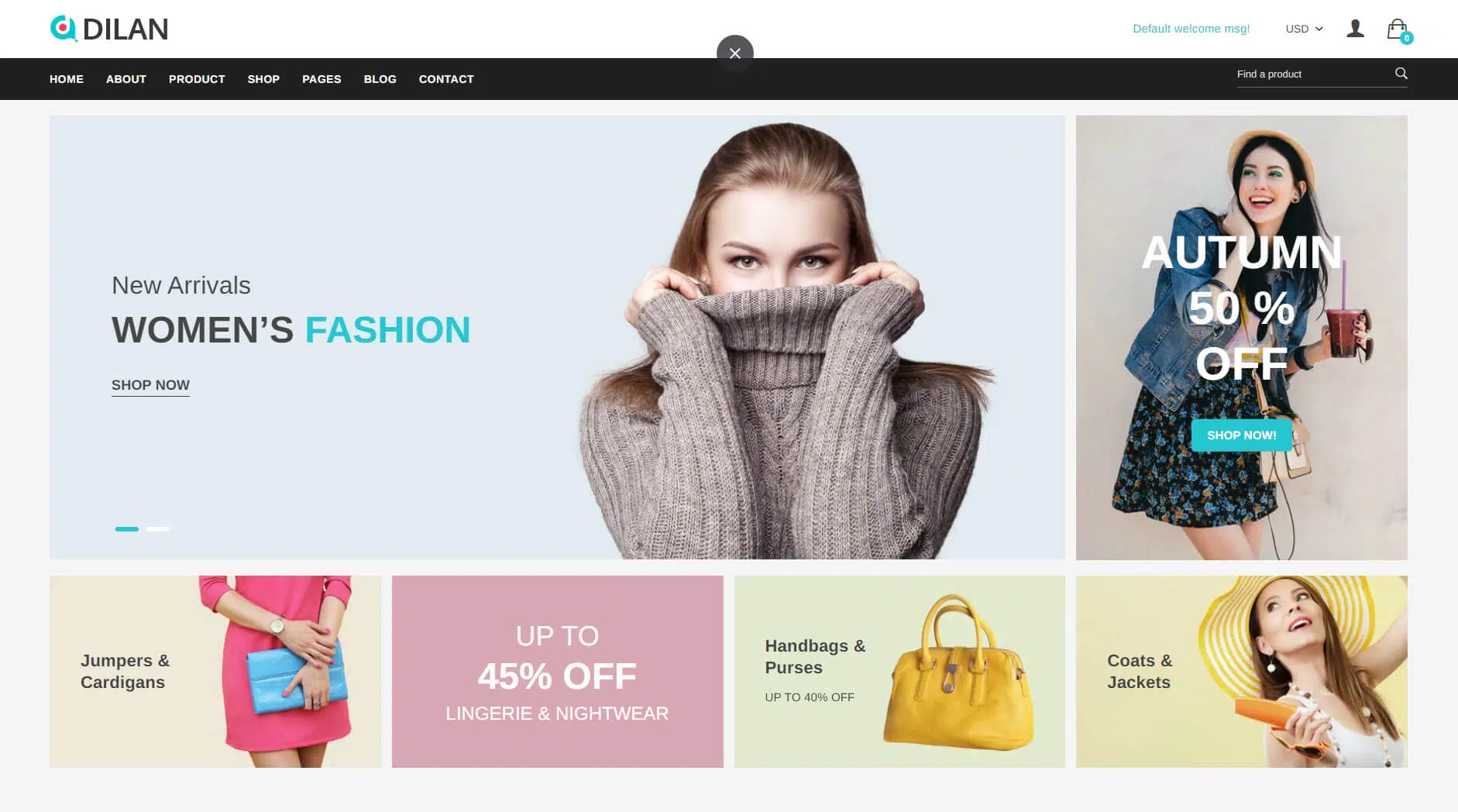 Fashion Shopify Theme – Dilan