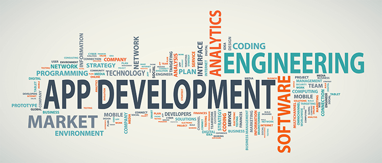 Offering Web Development Training or Workshops