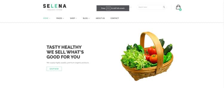 Selena - Organic Food Shop HTML Template