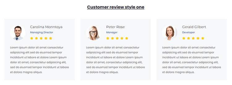 WooLentor - Customer Review