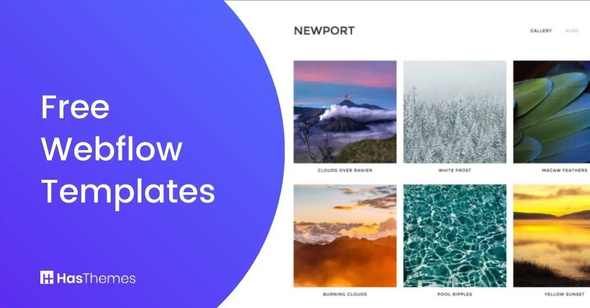 Free Webflow Templates
