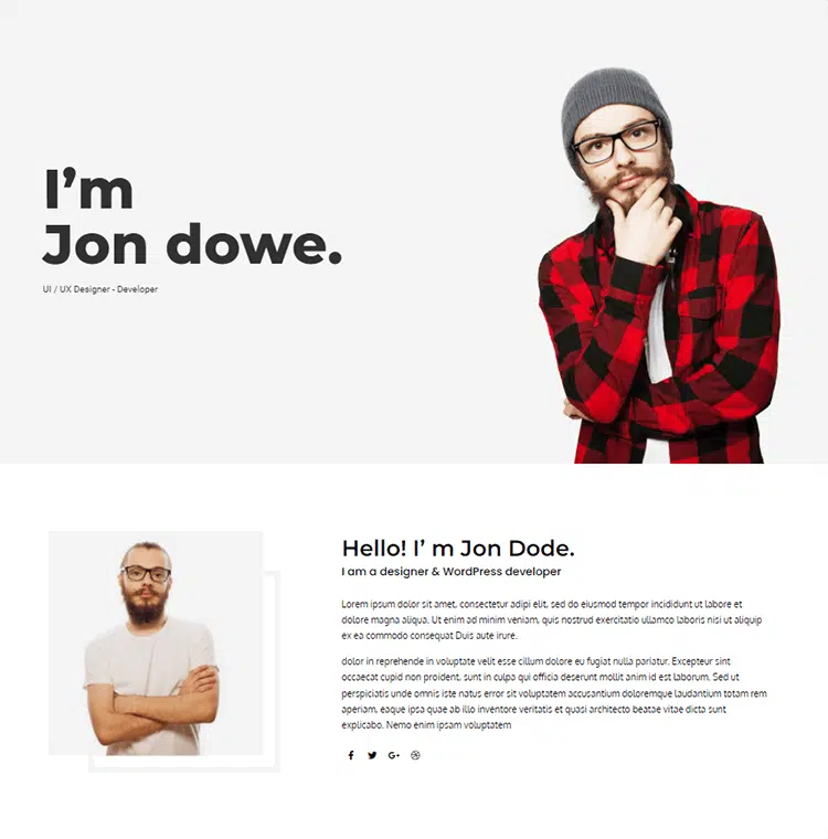 Elementor Templates For Portfolio by HT Mega Addon