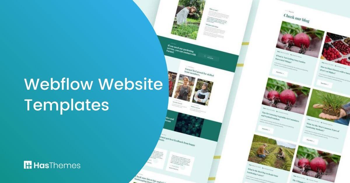 Webflow Website Templates