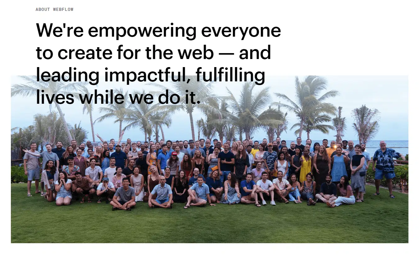 What is WebFlow