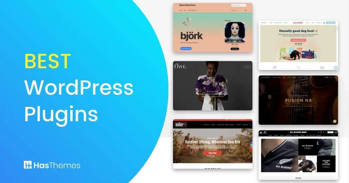 WordPress Plugins for eCommerce