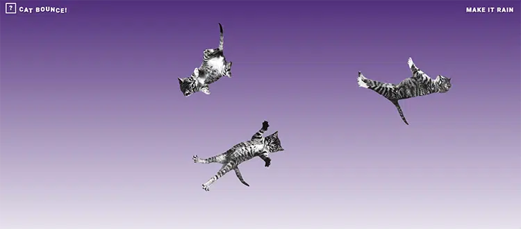 Cat Bounce