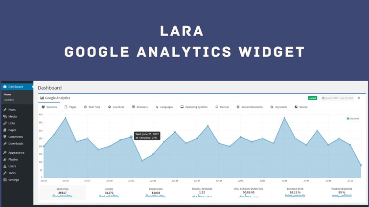 Lara, Google Analytics Widget