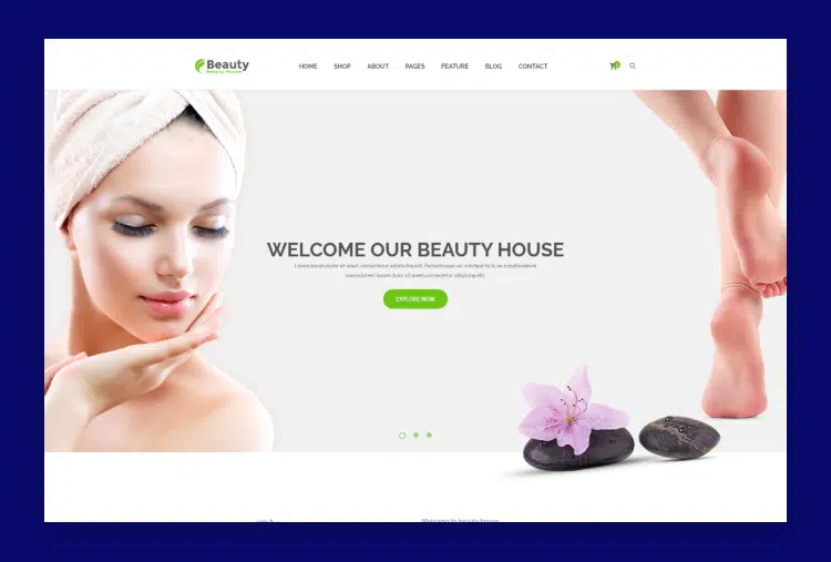 Beautyhouse - Health & Beauty HTML Template