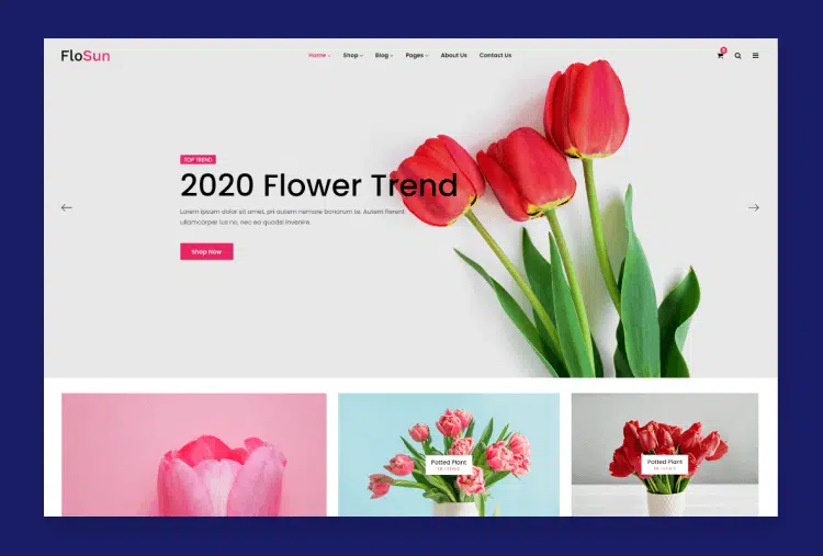 Flosun - Flower Shop HTML5 Template