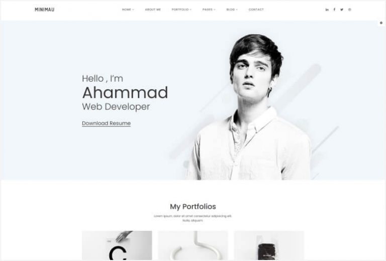 10 Best Web Development Portfolio Templates - HasThemes Blog