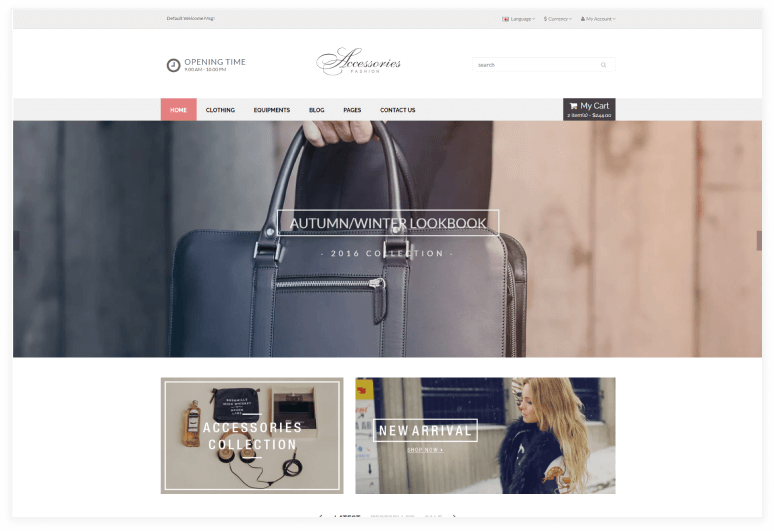 Accessories - Bootstrap HTML5 eCommerce Template
