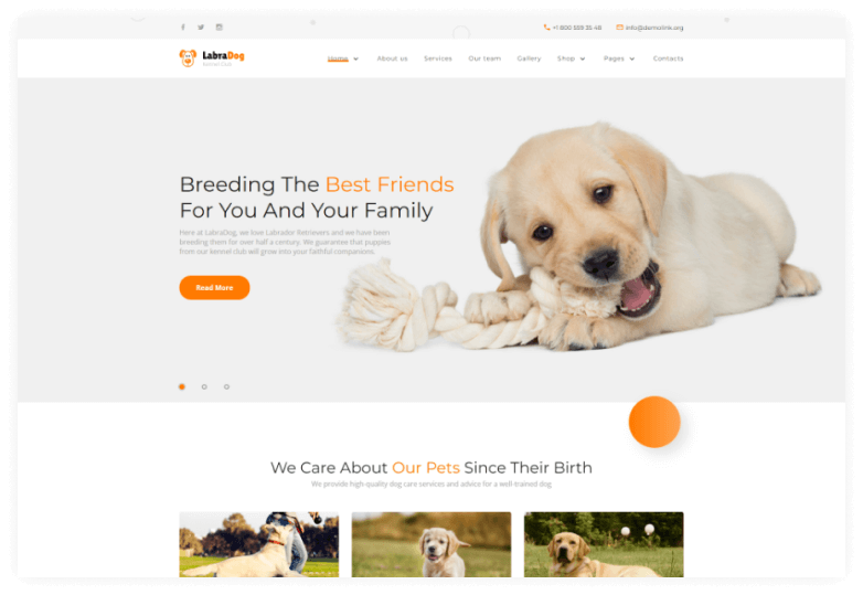 LabraDog - Pet Care HTML Template