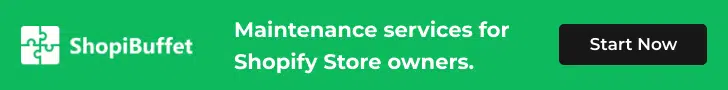 maintenance service for Shopify store owners