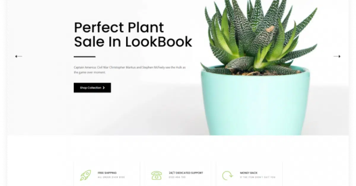 Plantmore - Plant & Flower Shop Shopify Theme