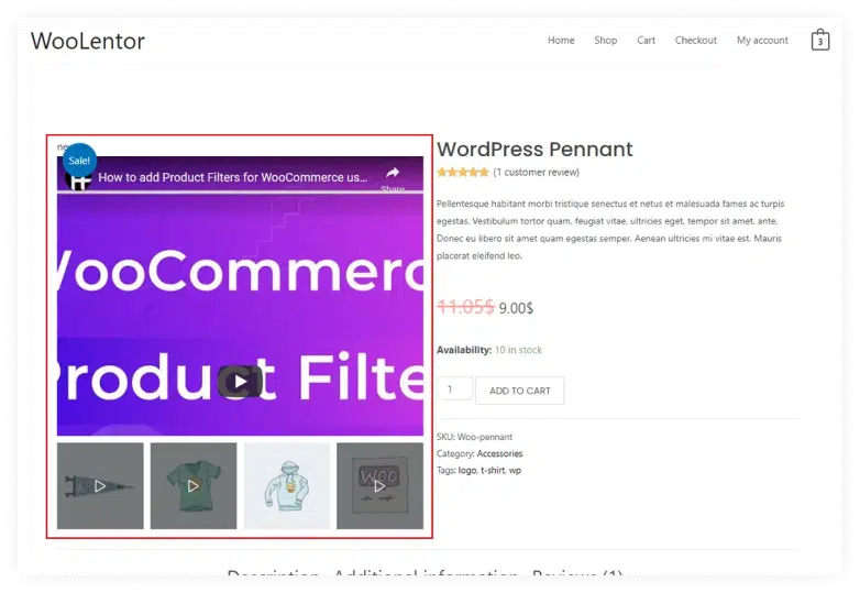 Product Video Gallery