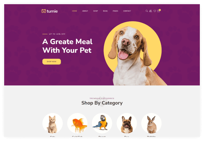 Best Pet Website Templates to Help You Get Started With Your Pet Shop  Website - HasThemes Blog