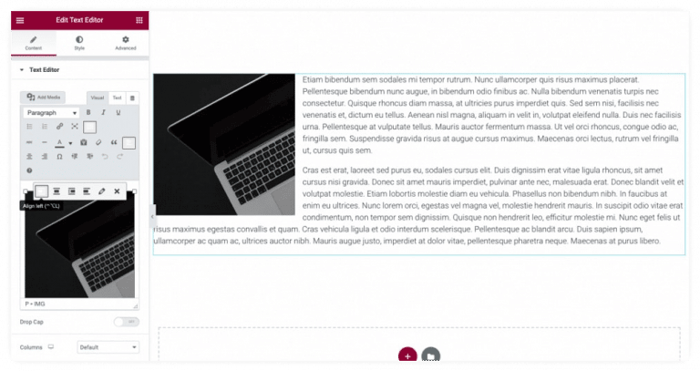 Elementor Drop Cap Widget - HasThemes Blog