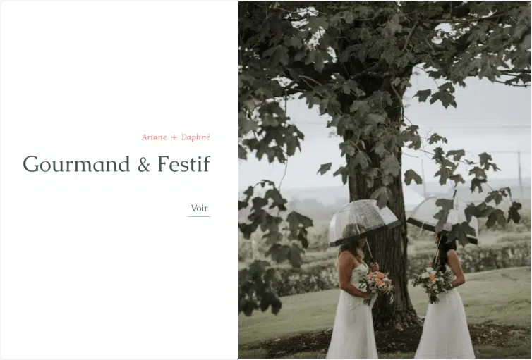 Foudamour
