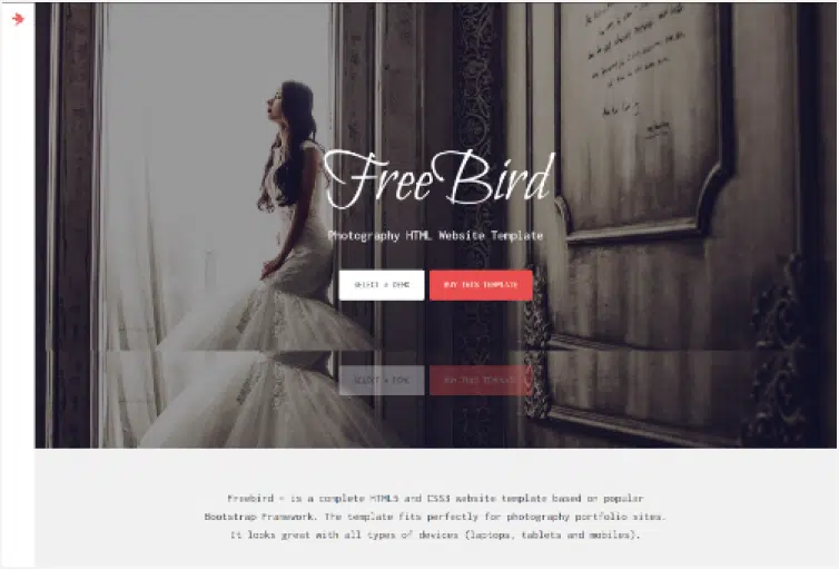 freebird photography portfolio html website template