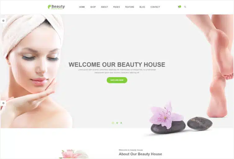 Beautyhouse – Health & Beauty HTML Template