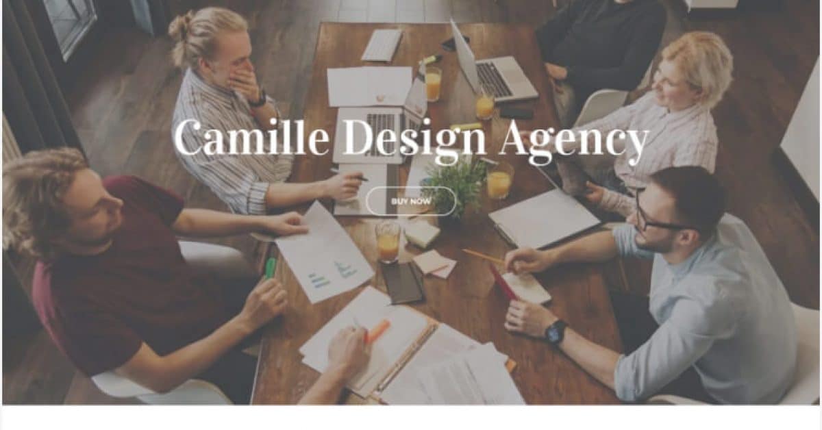 Camille Multi-Concept HTML Template for Start-ups and Agency