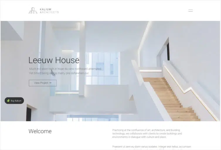 Kalium – Creative Theme for Professionals
