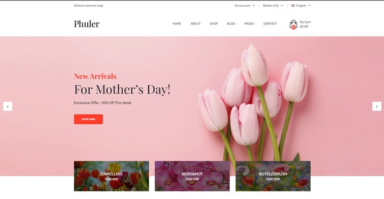 Phuler - Flower HTML Template