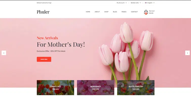 Phuler - Flower Shopify Theme