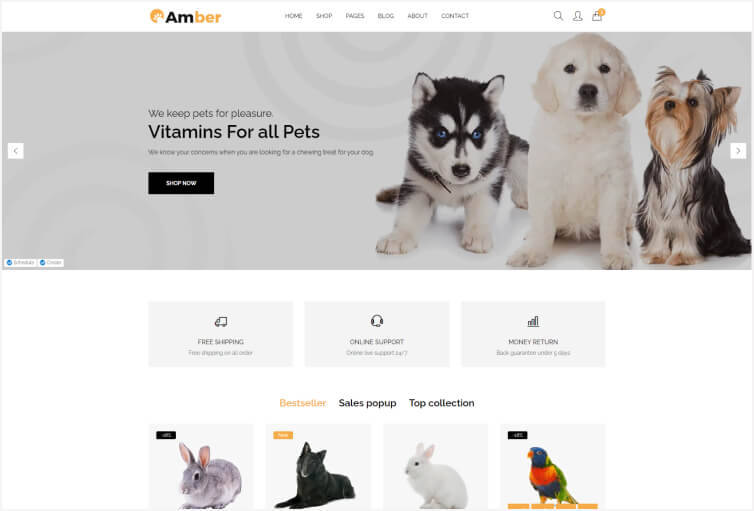 Amber - Pet Care Bootstrap 5 Template
