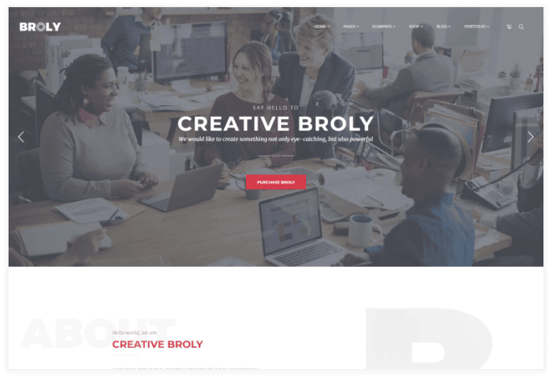 Broly – Creative Multi-Concept HTML Template
