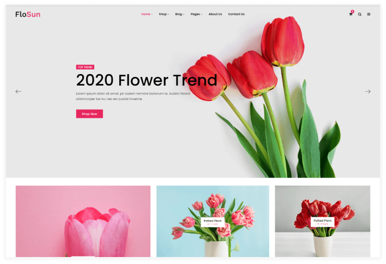 FloSun - Flower Shop HTML 5 Template