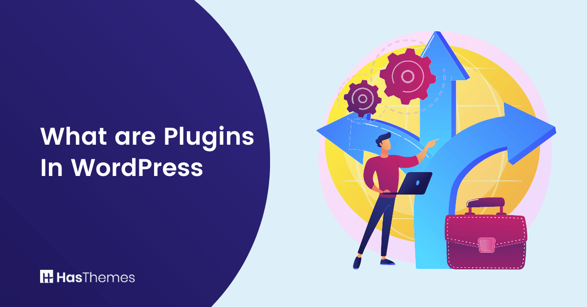 What are Plugins in WordPress