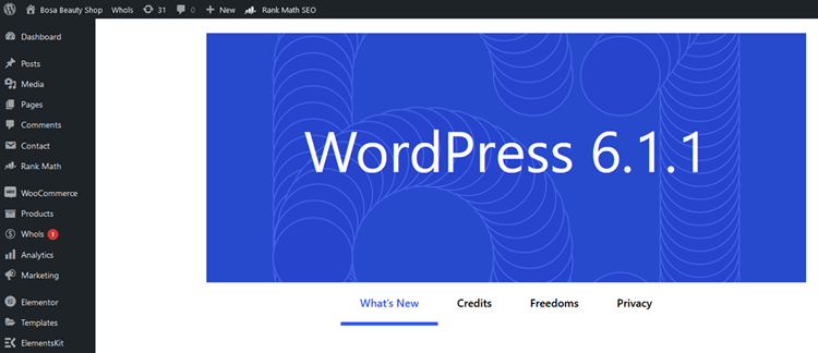 Log in to Your WordPress Dashboard