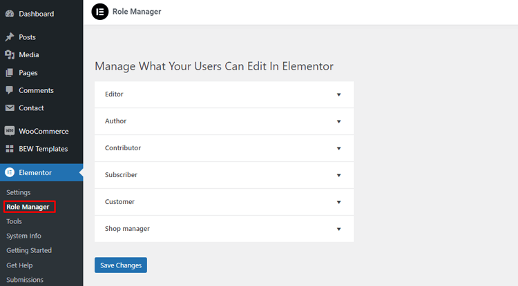 Elementor Role Manager Settings