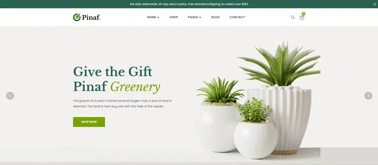 Pinaf - Florist Website Template