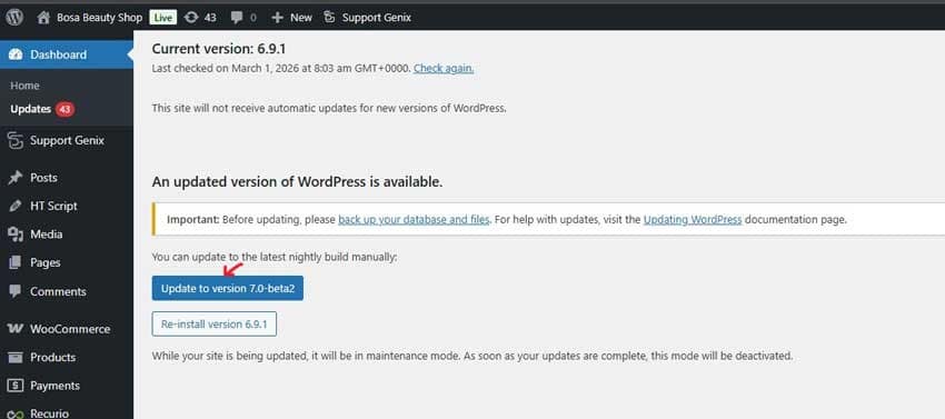 Update to WordPress 7.0 Beta2