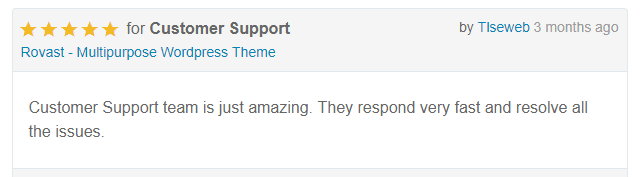 HasThemes Customer Review 8