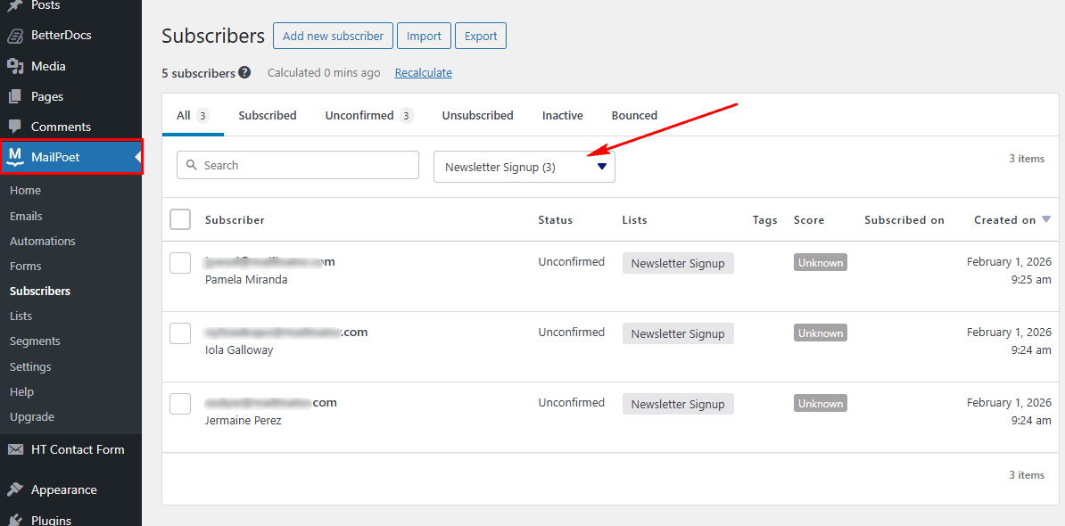 MailPoet Subscriber Example